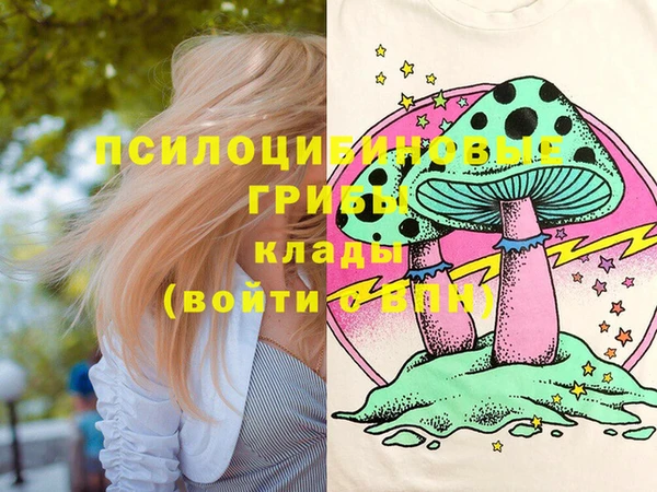 шишки Вяземский