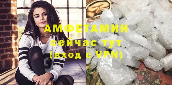 шишки Вяземский