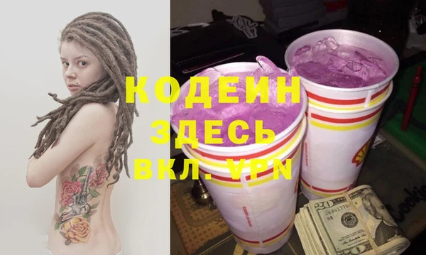 шишки Вяземский
