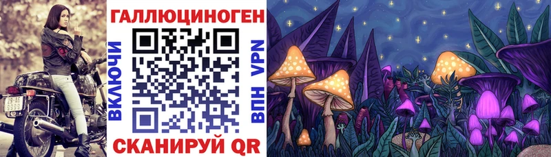 Галлюциногенные грибы прущие грибы Комсомольск-на-Амуре